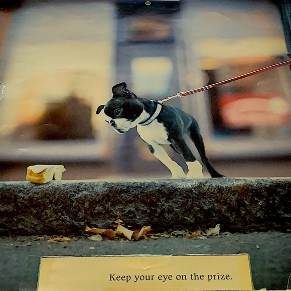 Welcome to my closet! - Picture 5 of 5